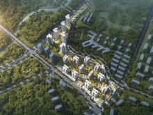 ����.��ͩ��