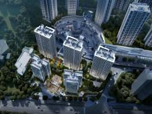 ��ï�����ֿ�